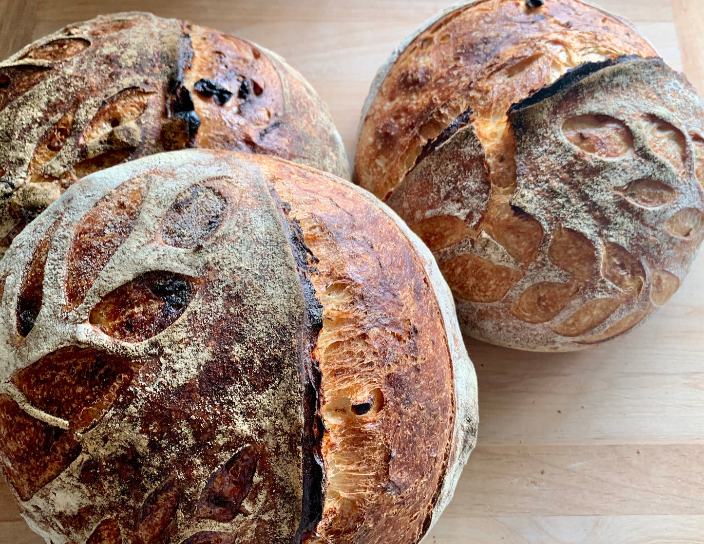 GARLIC & ROSEMARY SOURDOUGH LOAF