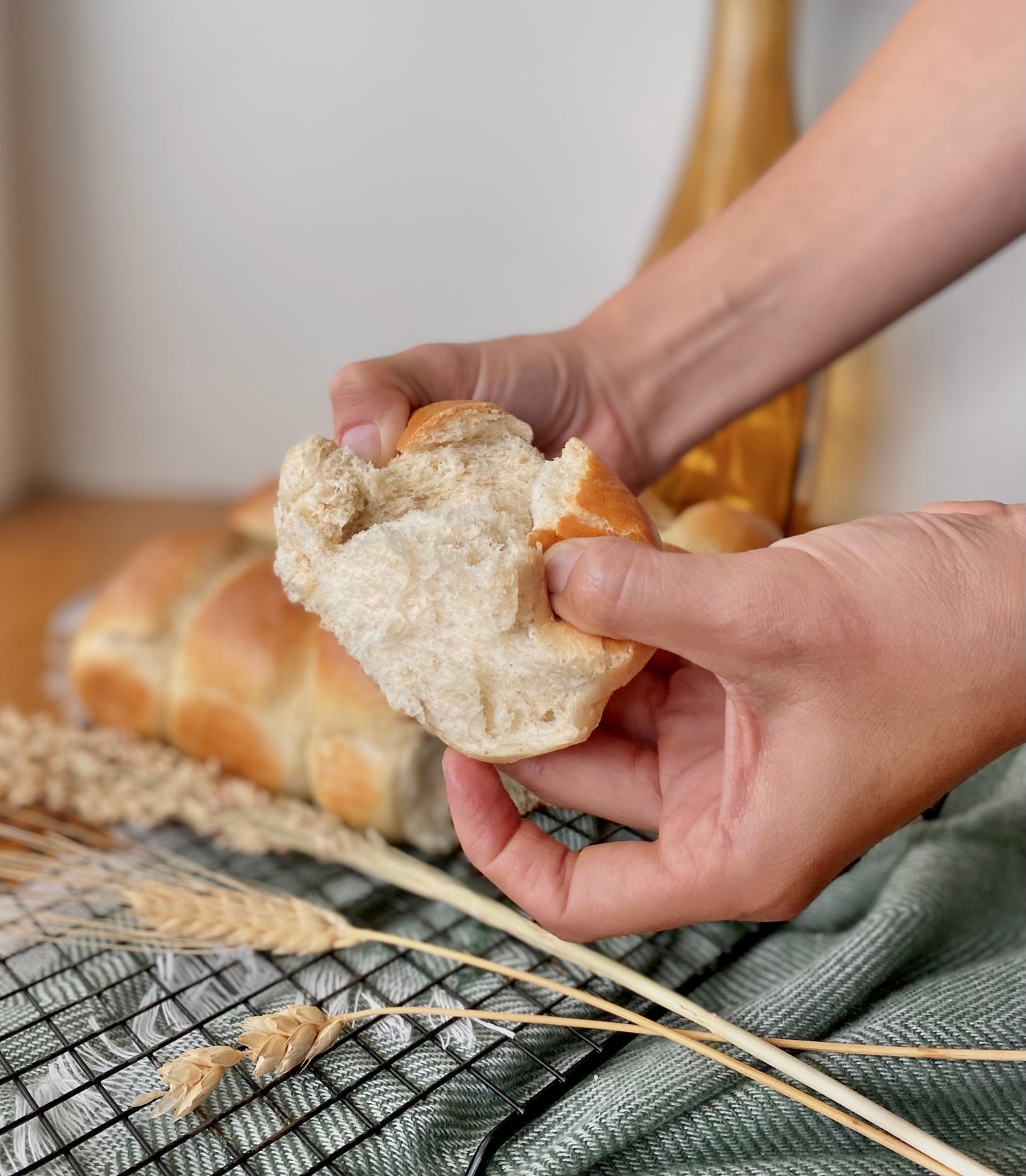 Sourdough Dinner Rolls