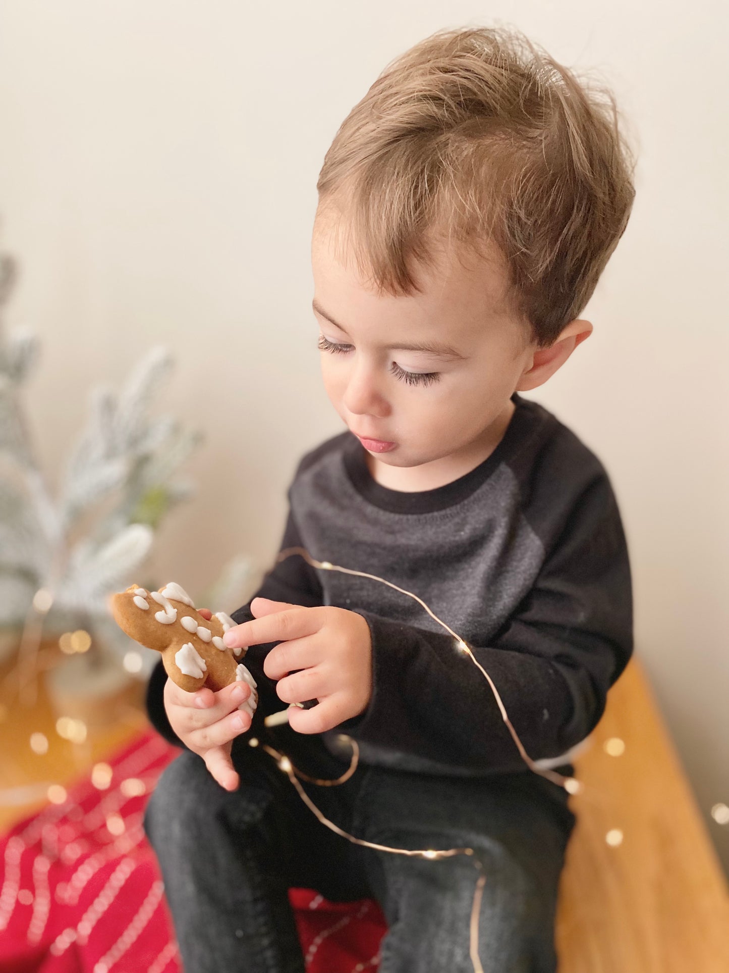 Nate’s Gingerbread Cookies