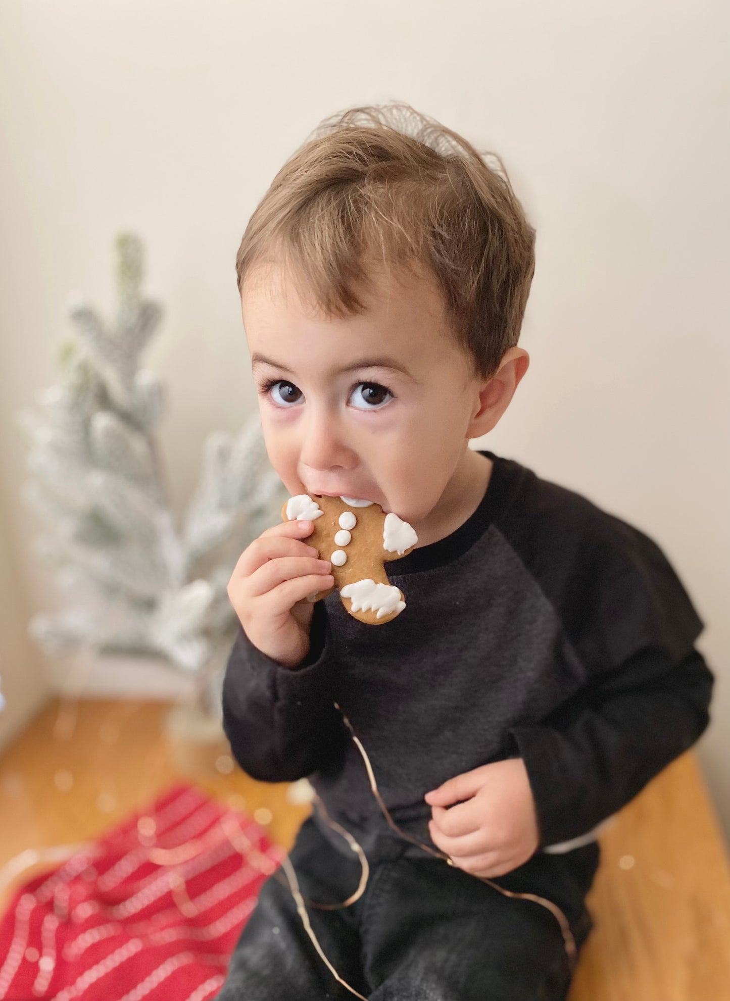 Nate’s Gingerbread Cookies