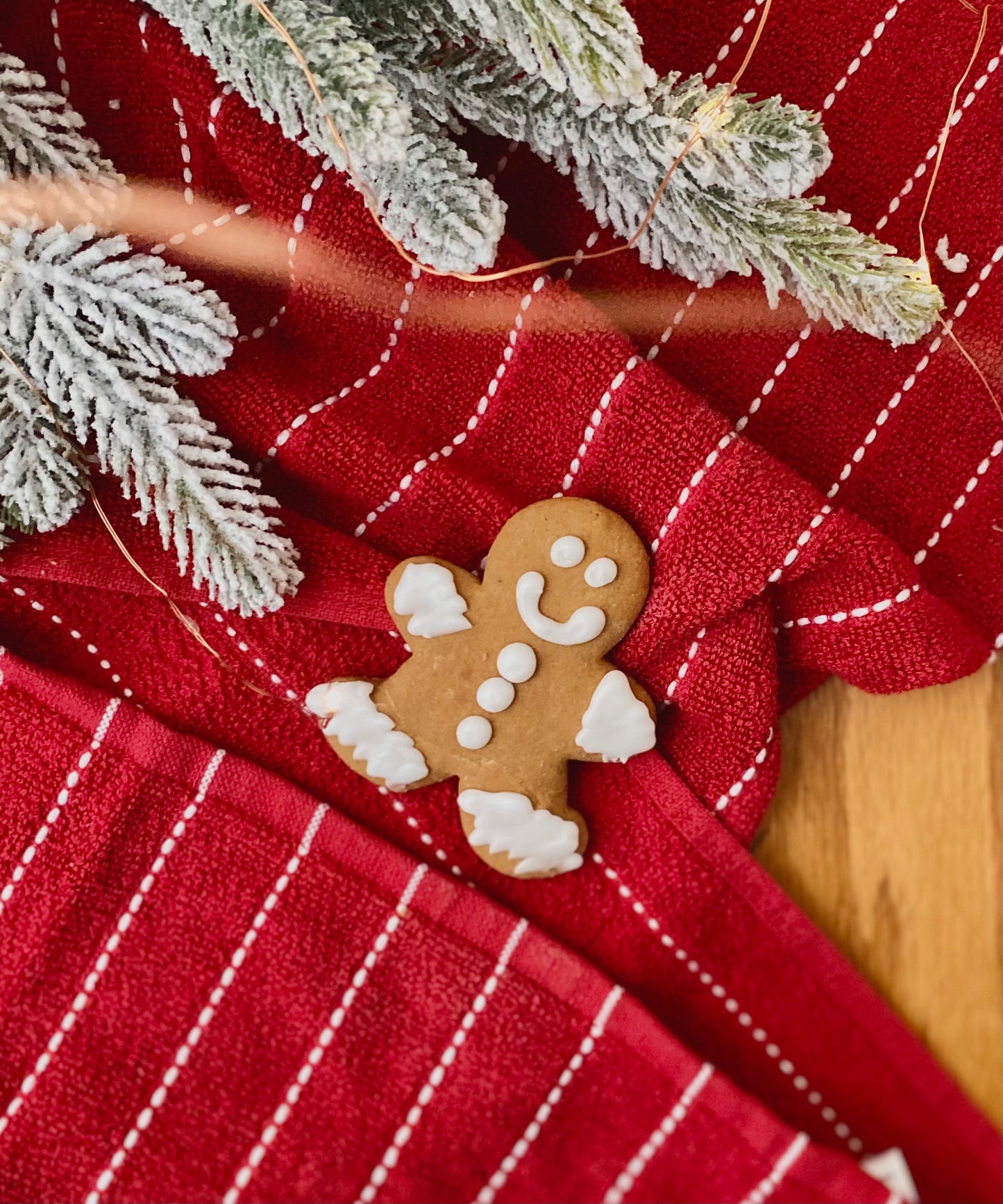 Nate’s Gingerbread Cookies